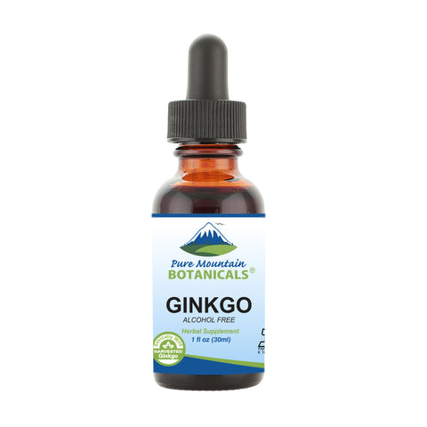 Gingko Biloba Liquid Extract – Alcohol Free Kosher Tincture Supplement