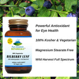 Bilberry Capsules - Full Spectrum Extract - 60 Kosher Veggie Caps