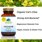 Cat's Claw High Potency - 90 Kosher Vegetarian Capsules