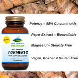 Turmeric with Black Pepper Extract - 60 Kosher Veggie Capsules