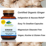 Ginger Capsules - 90 Kosher Vegetarian Caps