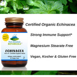 Echinacea Capsules - 90 Kosher Vegetarian Caps