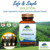 Astragalus Root Capsules - 90 Kosher Vegan Caps with 470mg Organic Astragalus