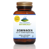 Echinacea Capsules - 90 Kosher Vegetarian Caps