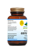 Gotu Kola Capsules - 90 Organic Kosher Veggie Caps